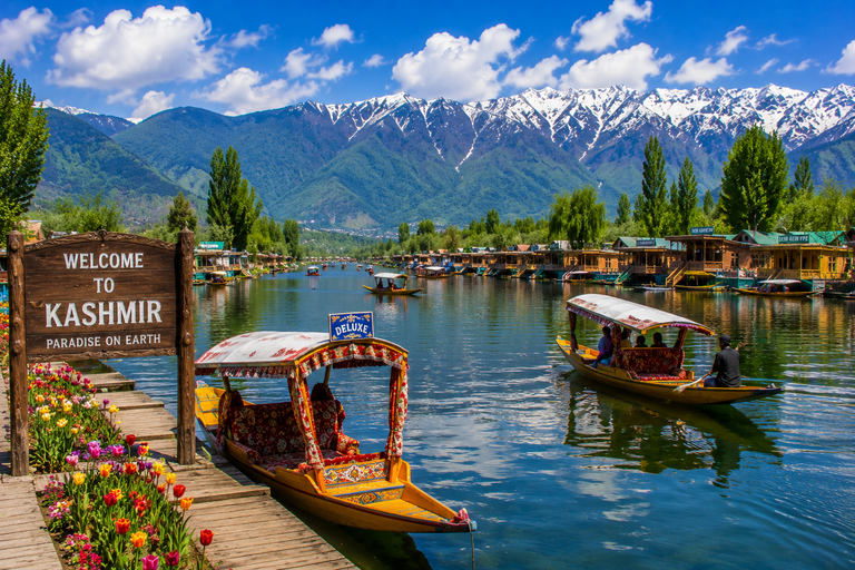 Kashmir